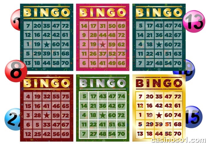 Cách chơi Bingo dành cho người mới